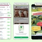 WhatsApp Announces Ads in Status, Channel Subscriptions, and More Features for Businesses